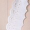 Ivory Smiley Design Cotton Eyelet Lace Trim 1 Inch Wide Scalloped Edge 2 Yards